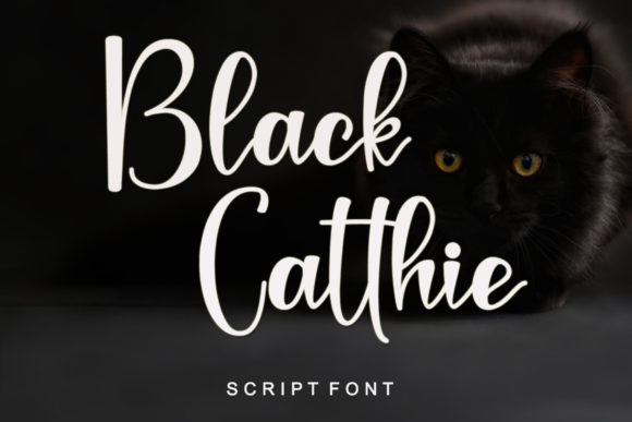 Black Catthie: A Delicate Script Font for Elegant Branding