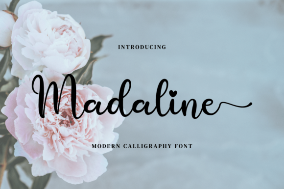 Madaline Script Font for Elegant Editorial Design
