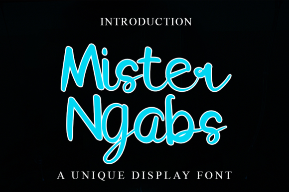 Mister Ngabs: A Delicate Script Handwritten Font for Boutique Branding