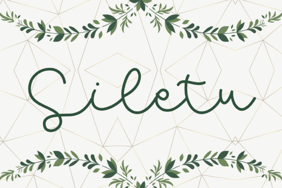 Siletu: A Whimsical Script Handwritten Font for Modern Web Design